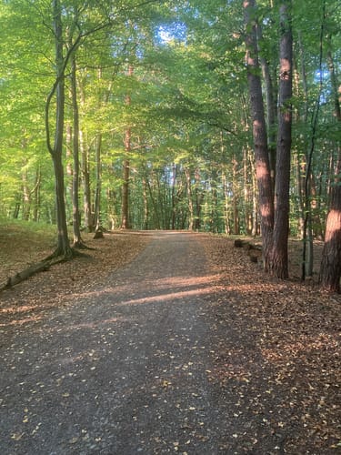 Rund um den Uhlberg