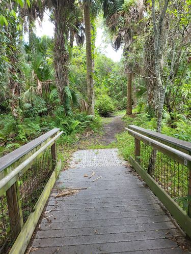 2023 Best 10 Trails and Hikes in Fort Pierce | AllTrails