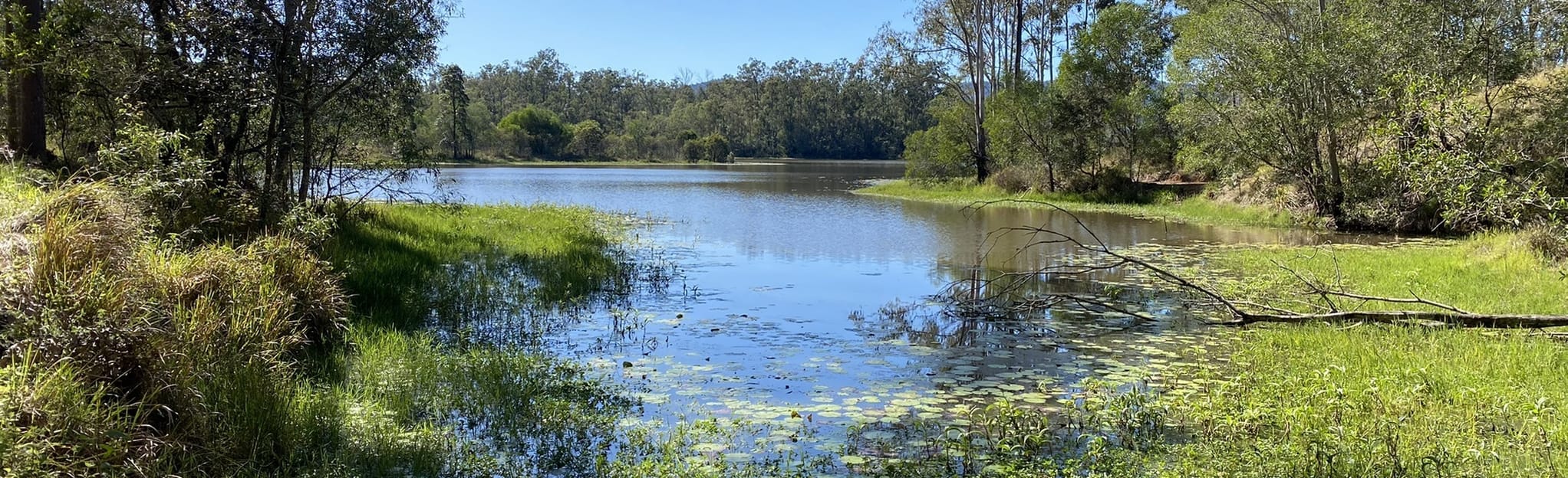 Job 6 Break, Light Line Road and South Lake Manchester Road: 462 fotos ...