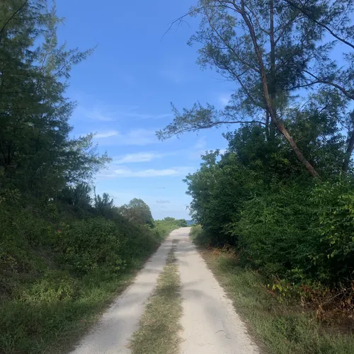 Best Hikes and Trails in Virginia Key Park AllTrails
