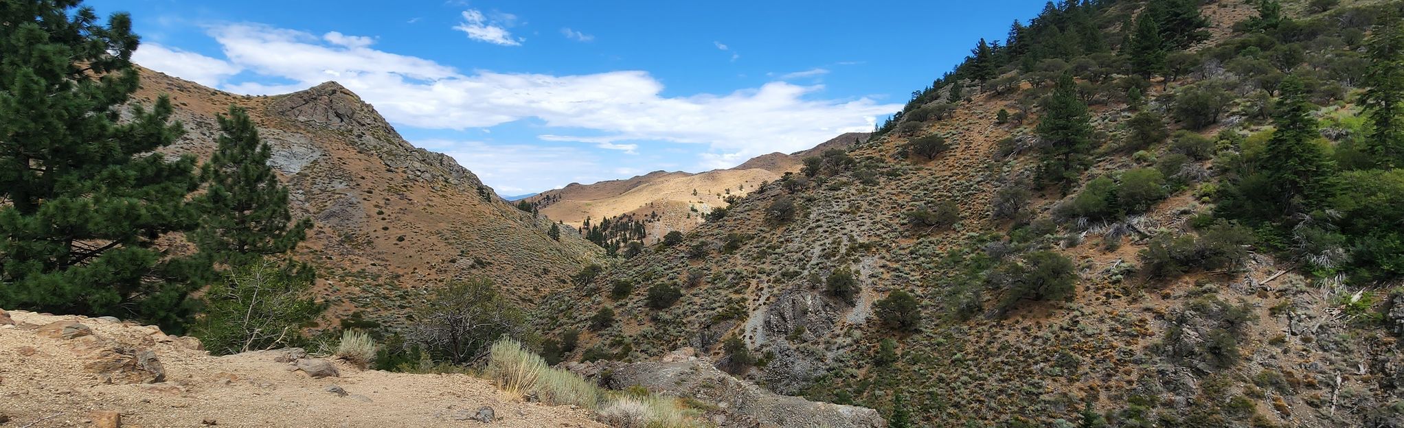 Hunter Creek Trail, Nevada - 4,255 Reviews, Map | AllTrails