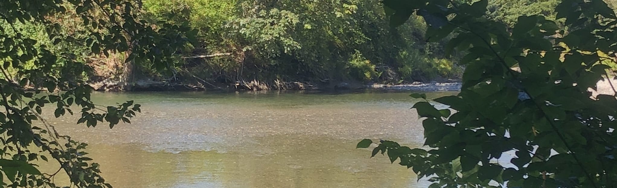 River Meadows Park Trail 79 Reviews, Map Washington AllTrails