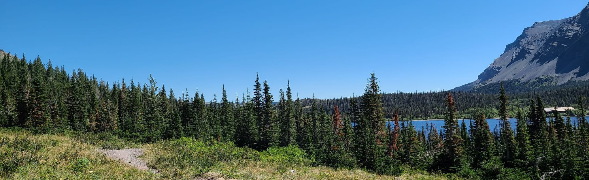 Upper Two Medicine Creek Loop 150 Reviews, Map Montana AllTrails