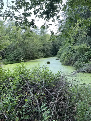 Best Hikes and Trails in Pleasant Creek State Park