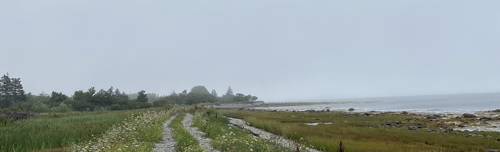 Lower Wedgeport Trail, Nova Scotia, Canada Map, Guide AllTrails