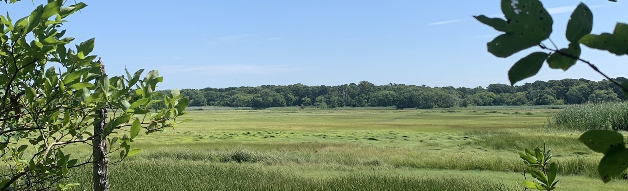 Cranberry Bogs Trail, Massachusetts - 51 Reviews, Map | AllTrails