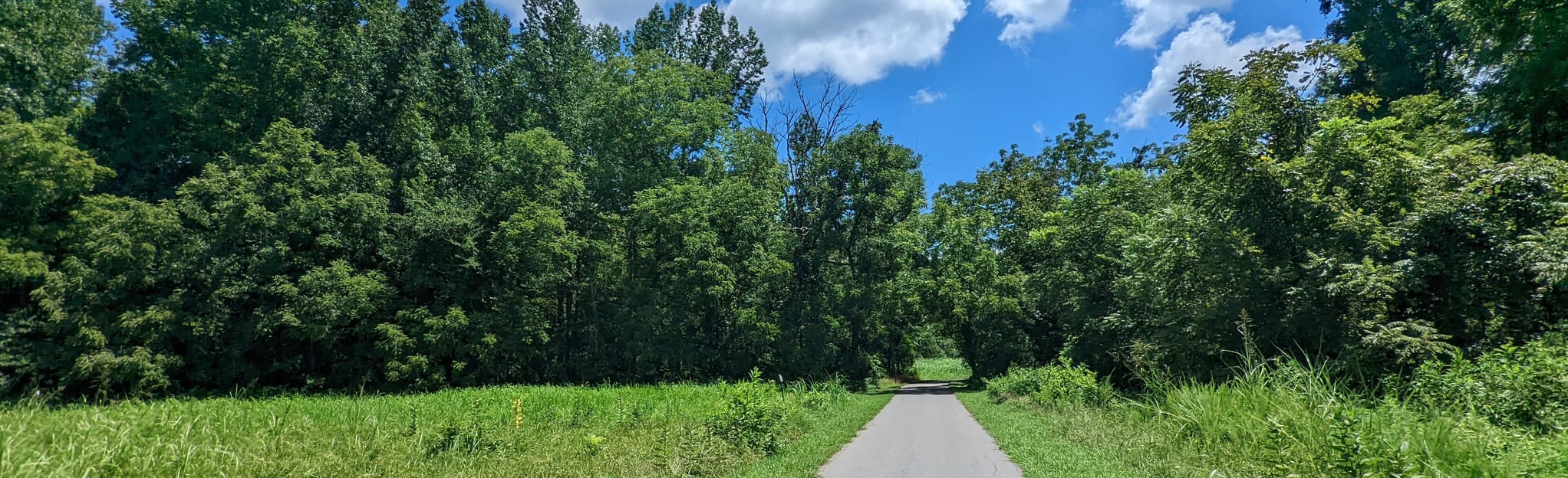 West Branch Rocky River Greenway, North Carolina 376 Reviews, Map