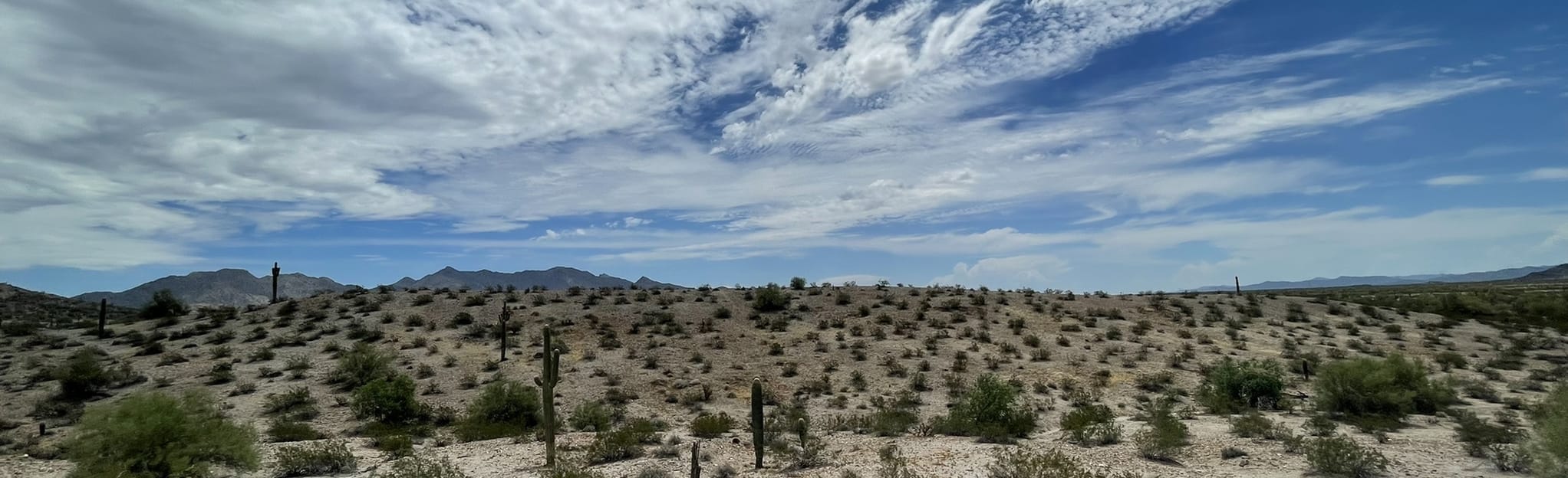 Rum Runner Loop, Arizona 48 Reviews, Map AllTrails