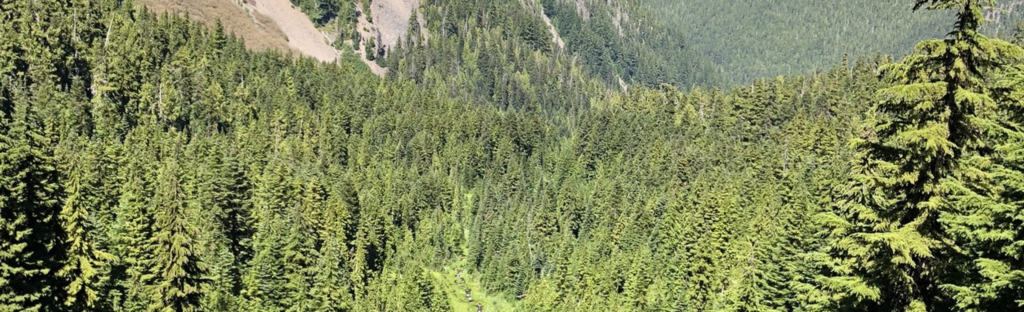 Everett Peak, and Mount Appleton Loop Trail, Washington 2 Reviews