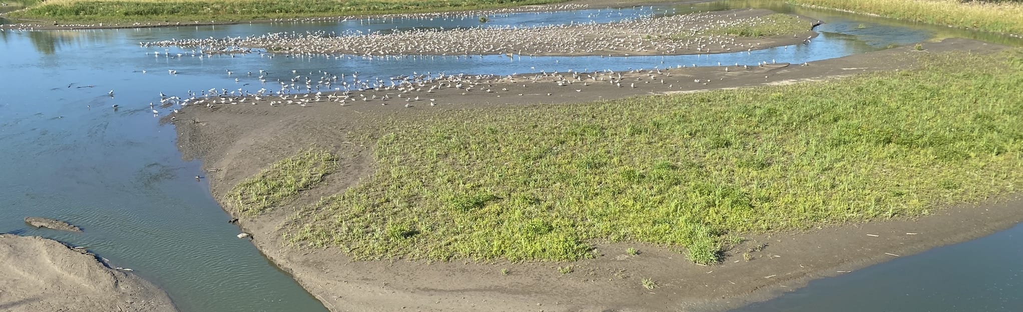 Bear Creek Reservoir Loop Alberta, Canada AllTrails