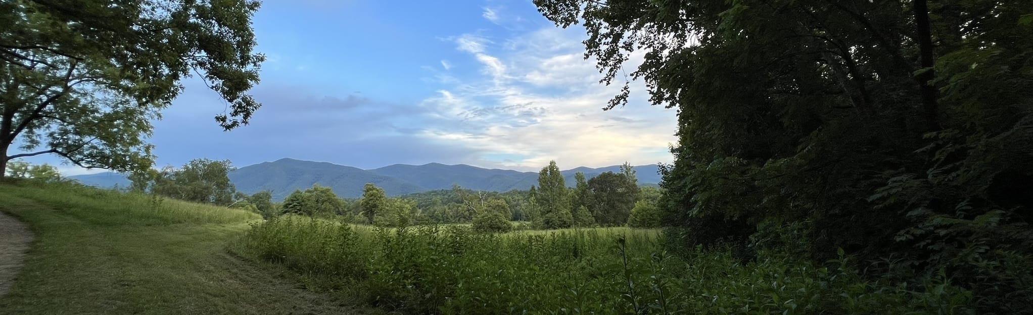 Cooper Road and Rabbit Creek Loop Trail: 22 Reviews, Map - Tennessee ...