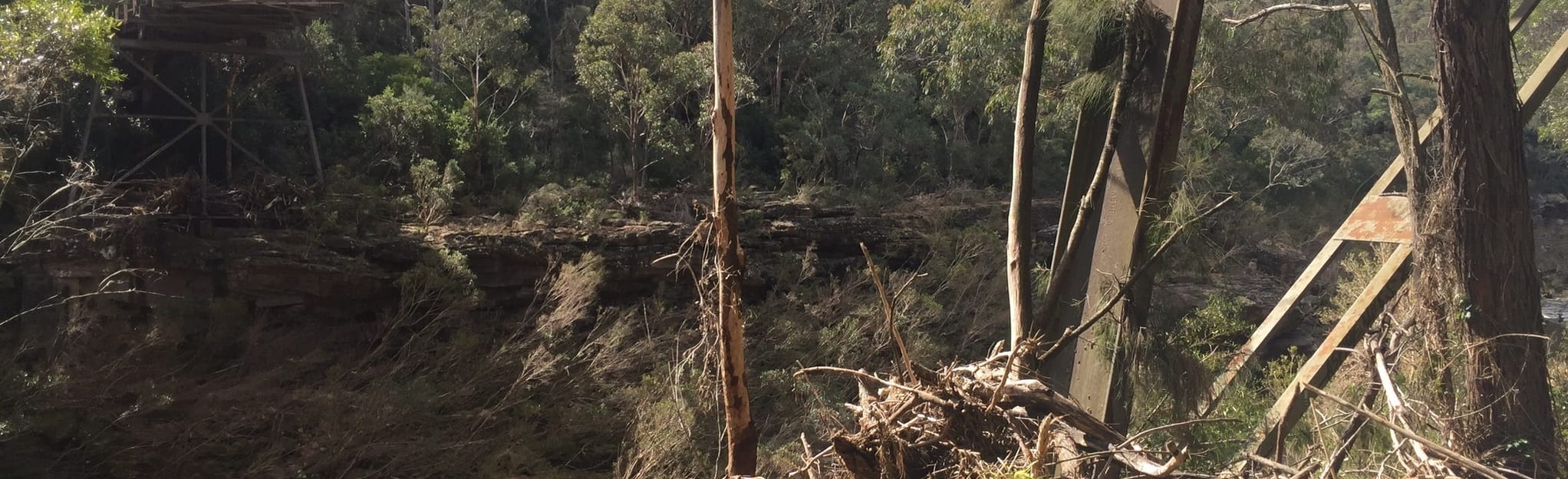 Glenrock Reserve to Douglas Park Paddle, New South Wales, Australia 2