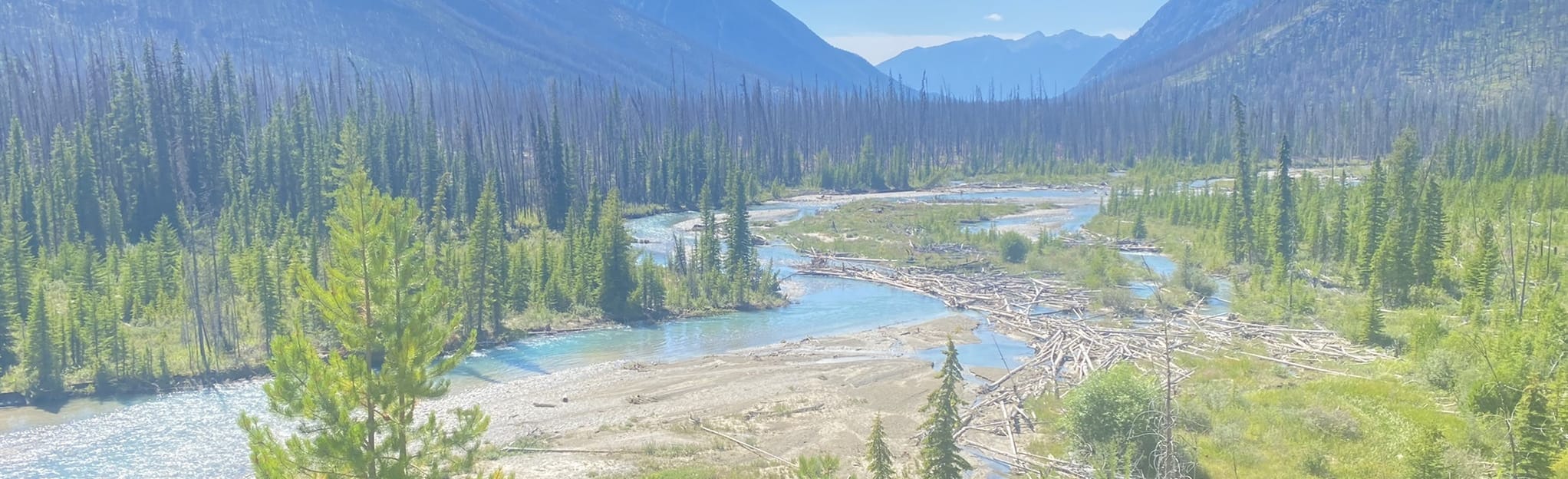 Simpson River to Porcupine Campground - EyJidWNrZXQiOiJhc3NldHMuYWxsdHJhaWxzLmNvbSIsImtleSI6InVwbG9hZHMvcGhvdG8vaW1hZ2UvNTA1NzMyMDEvMDM0YzNlNTY3Y2FmNjRhZTFiYzEyYTAyYTU1NDY0YTguanBnIiwiZWRpdHMiOnsidG9Gb3JtYXQiOiJqcGVnIiwicmVzaXplIjp7IndpZHRoIjoyMDQ0LCJoZWlnaHQiOjYyNCwiZml0IjoiY292ZXIifSwicm90YXRlIjpudWxsLCJqcGVnIjp7InRyZWxsaXNRdWFudGlzYXRpb24iOnRydWUsIm92ZXJzaG9vdERlcmluZ2luZyI6dHJ1ZSwib3B0aW1pc2VTY2FucyI6dHJ1ZSwicXVhbnRpc2F0aW9uVGFibGUiOjN9fX0=