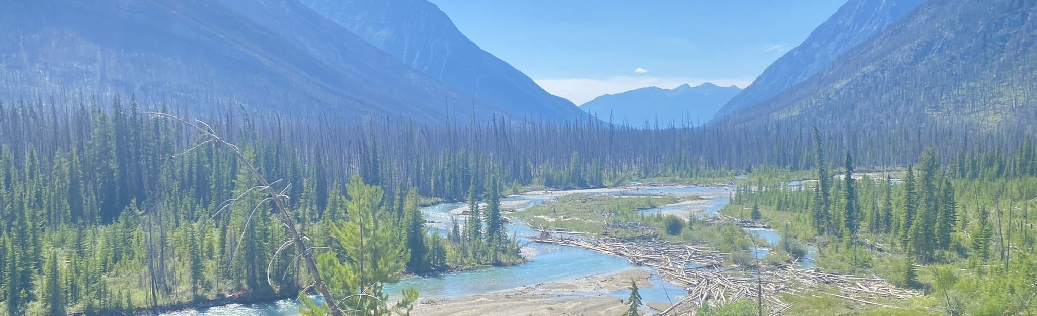 Simpson River to Surprise Creek Cabin: 114 Fotos - British Columbia ...