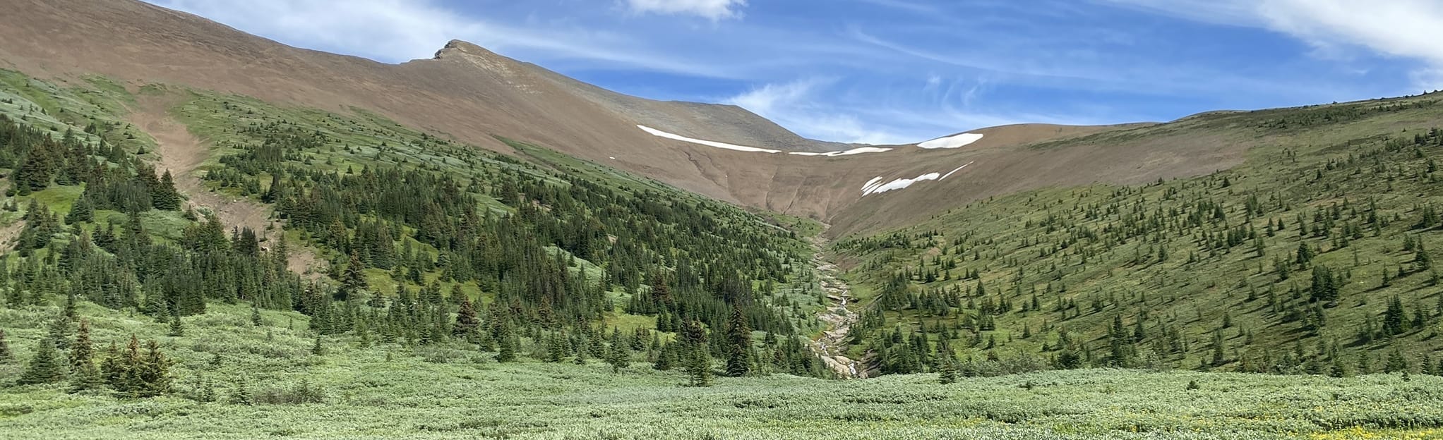 Opal Hills Short Loop, Alberta, Canada 529 Reviews, Map AllTrails