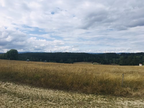 Waldnaabtal Rundweg (Hammermühl-Runde kurz)