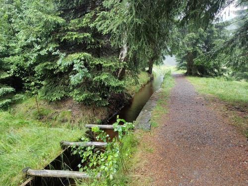 Im Schwarzwassertal