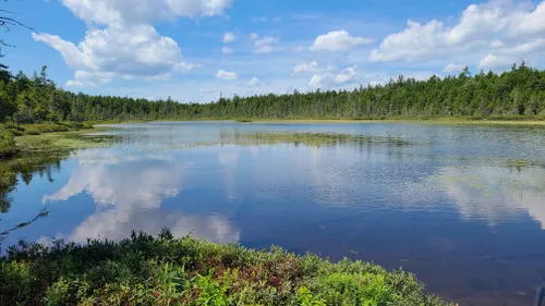 Fundy -  Finland