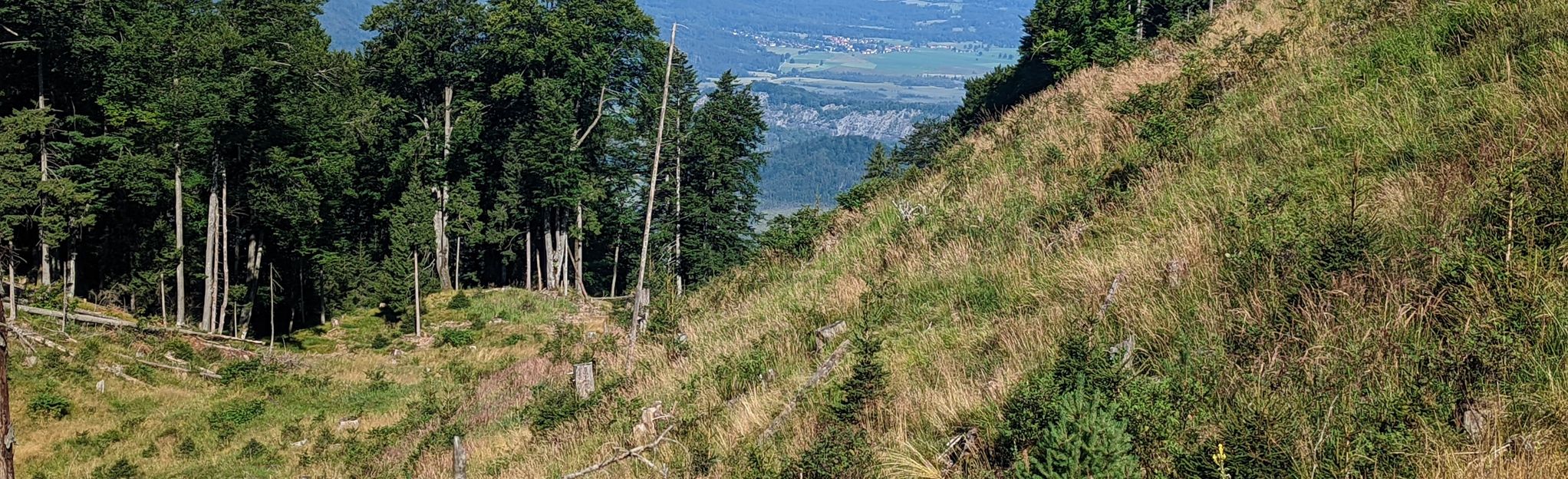 Osterfeuerspitze Summit: 13 Reviews, Map - Bavaria, Germany | AllTrails