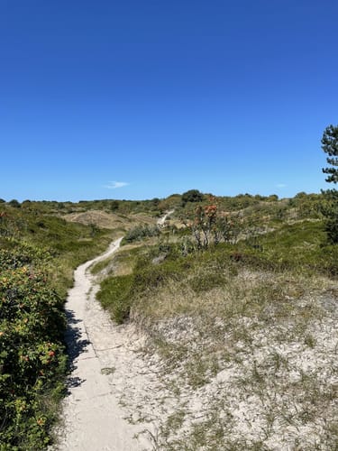 Spiekeroog - Hauptbadestrand - Nationalpark-Haus Wittbülten