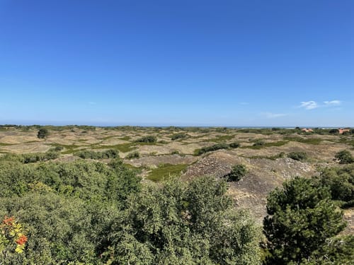 Spiekeroog - Hauptbadestrand - Nationalpark-Haus Wittbülten