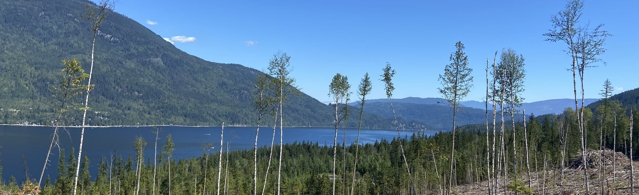 Wild Rose Bay Hill, British Columbia, Canada 6 Reviews, Map AllTrails