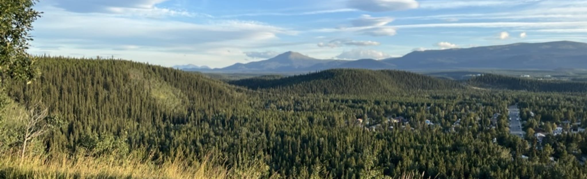 Lower and Upper Riverdale Trails 8 Reviews, Map Yukon, Canada AllTrails