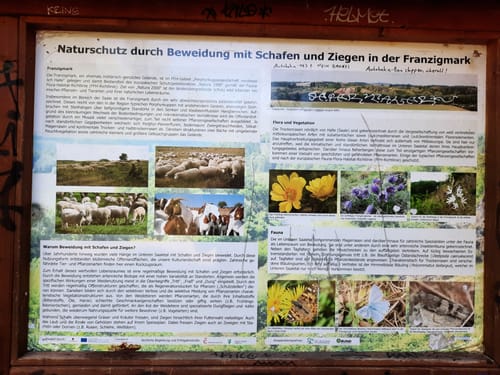 Brachwitzer Alpen - Franzigmark