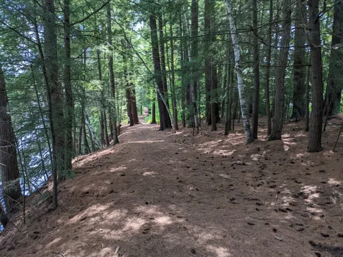 Best Trail Running Trails In White River Junction Alltrails