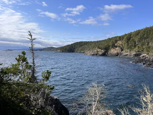 10 Best Hikes and Trails in East Sooke Regional Park | AllTrails