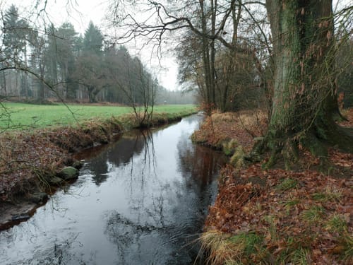 Lohheide ab Cordingen