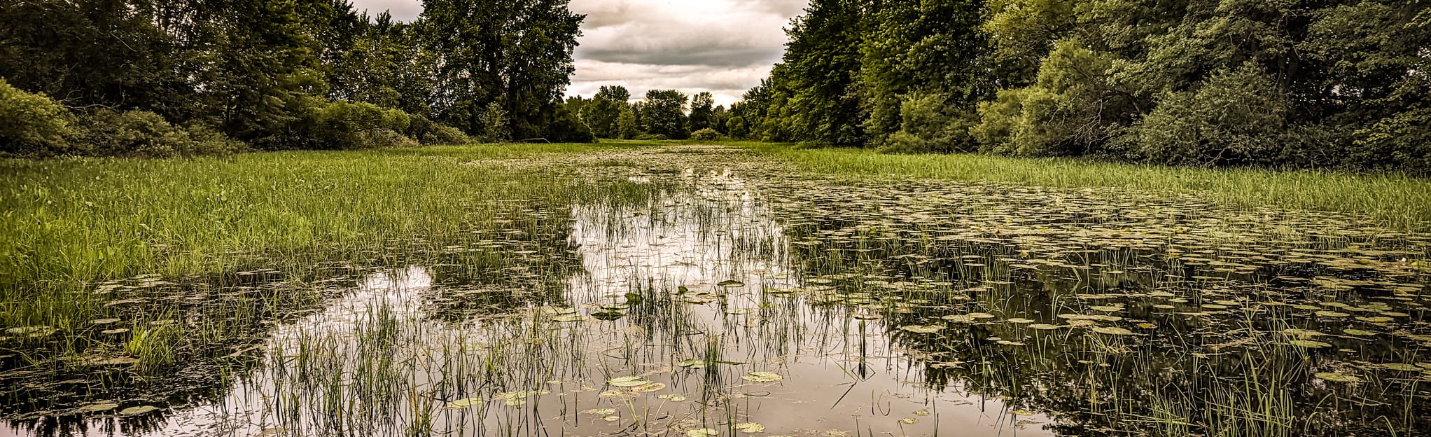 Sentiers des îles de Berthier Quebec, Canada AllTrails