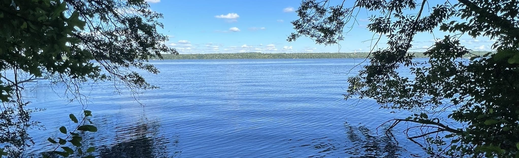 Mosquito Lake: Your Ohio Oasis Awaits!