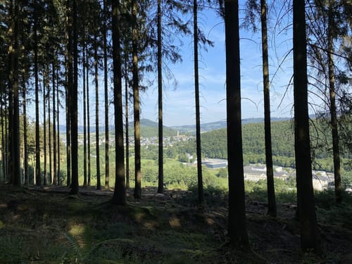 Rundweg um Schmallenberg (S2)