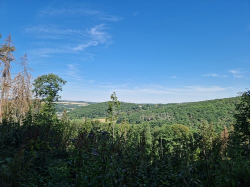 EifelSchleife Burgenblick