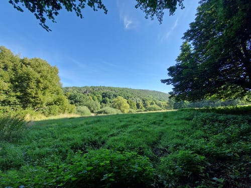 EifelSchleife Burgenblick