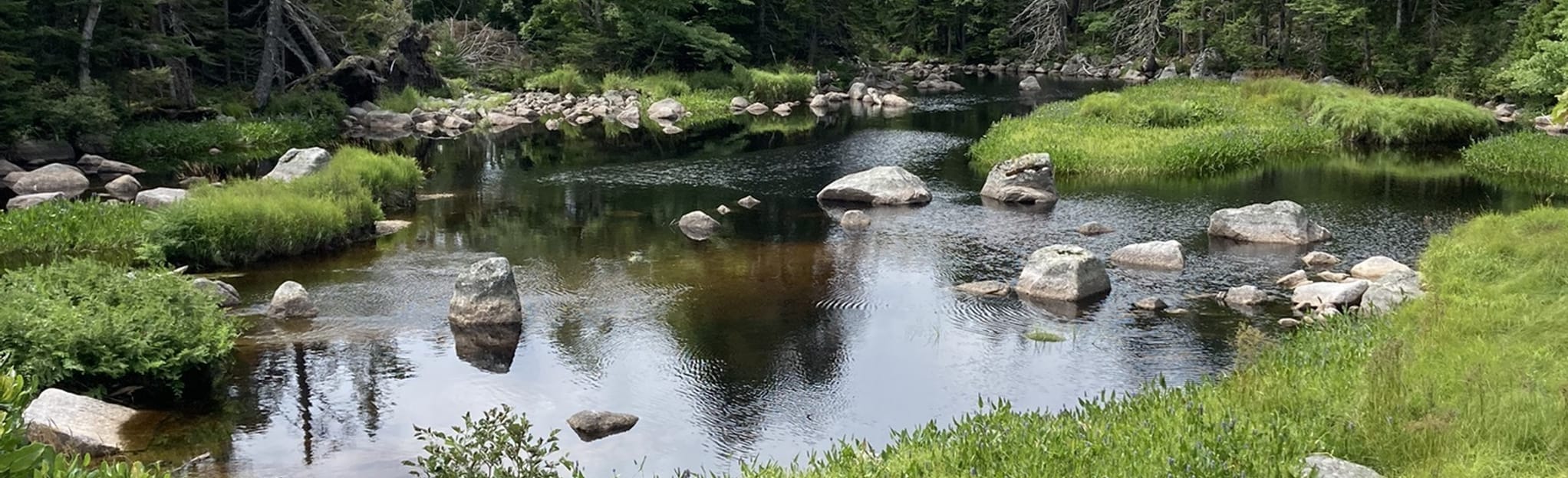 Castle Rock Trail 463 Reviews, Map Nova Scotia, Canada AllTrails