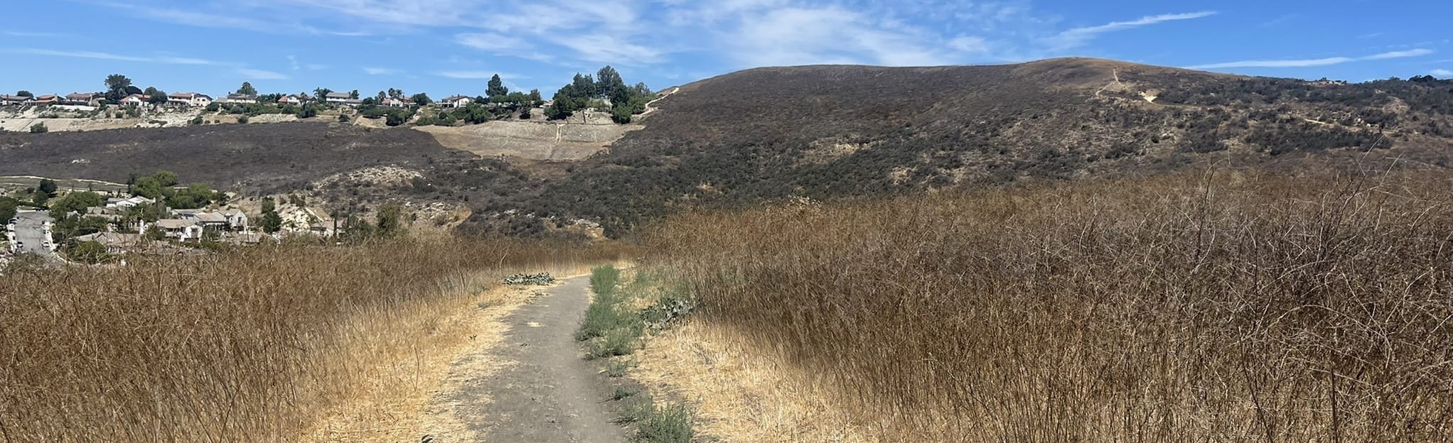 Woodridge Loop Trail, California 531 Reviews, Map AllTrails