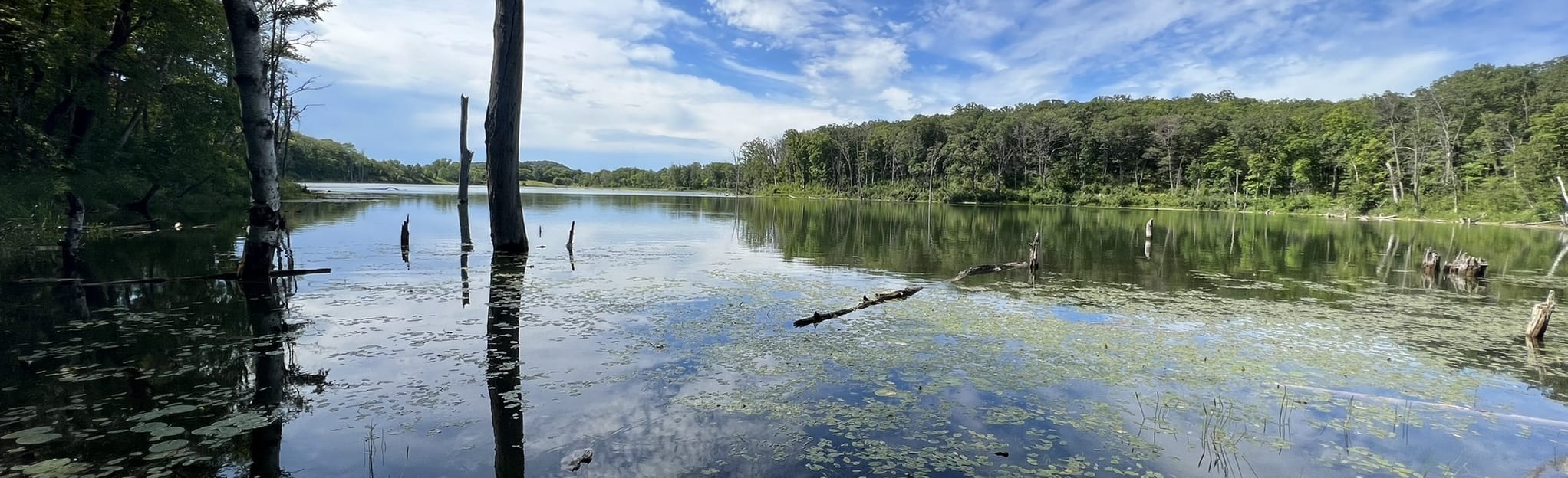 Grass Lake from Sugar Shack 78 Reviews, Map Minnesota AllTrails