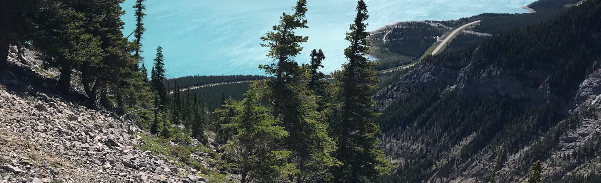 Abraham Mountain Trail Alberta, Canada AllTrails