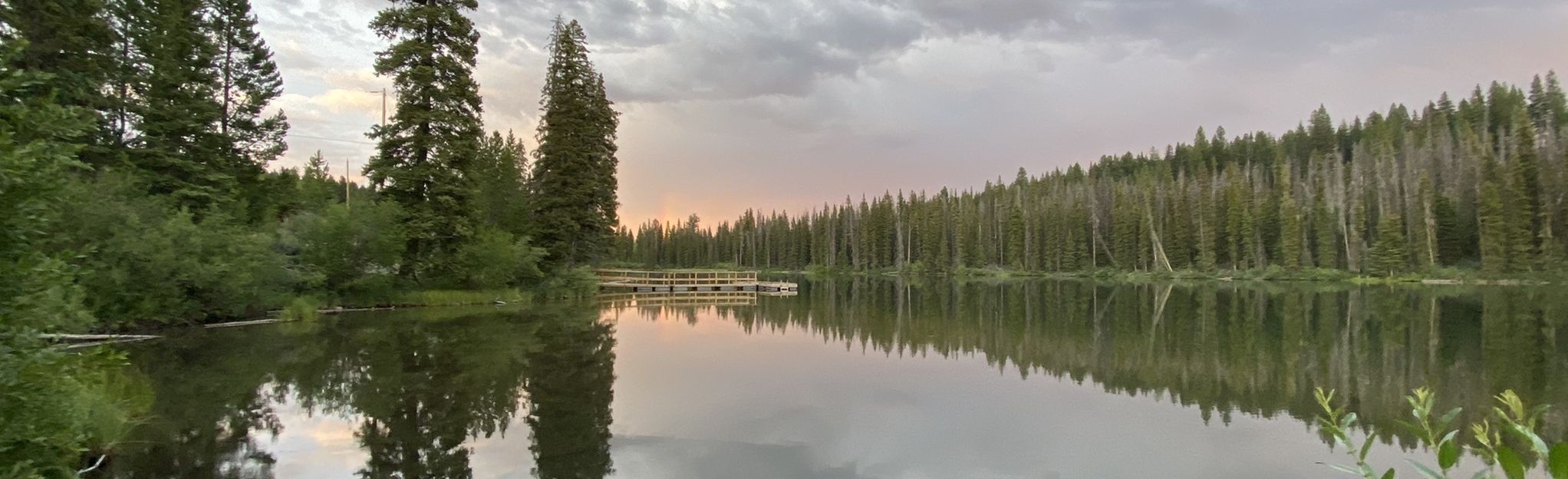 Lodgepole Lake Loop: 18 Reviews, Map - British Columbia, Canada | AllTrails