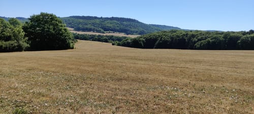 Naturpark Südeifel Wanderweg Nr. 76 - Bettingen