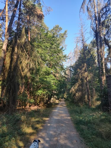 Hoher Berg Rundweg