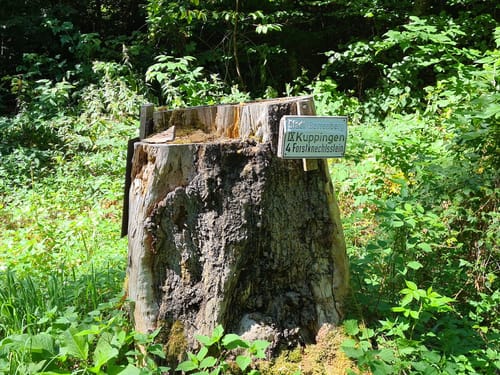 Gedenkstein-Route bei Herrenberg