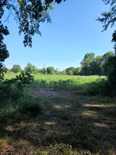 Quiet Escapes: 5 Scenic Hiking Trails in West Bridgewater – Massachusetts