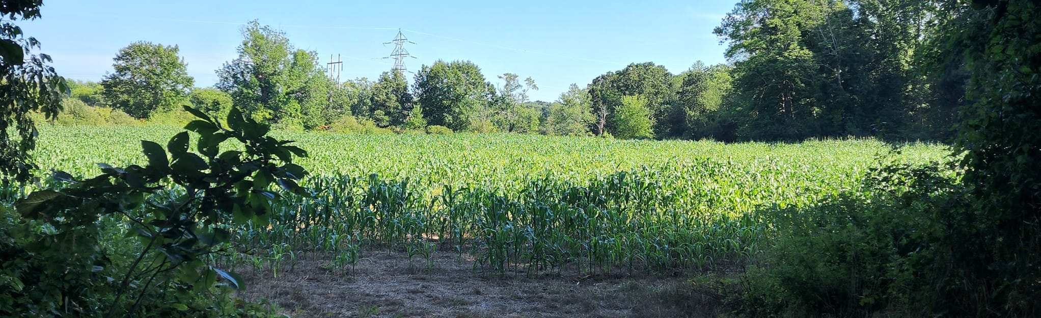 West Bridgewater Rail Trail 124 Reviews, Map Massachusetts AllTrails