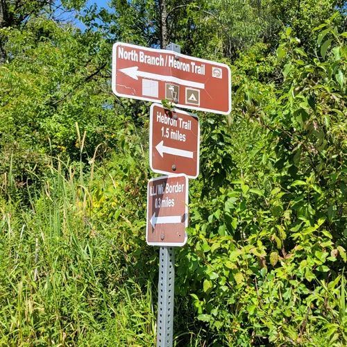 2023 Best Wheelchair Friendly Trails in North Branch Conservation Area