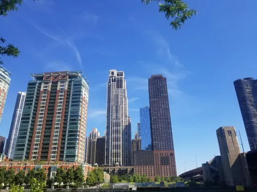 se permiten perros en grant park chicago