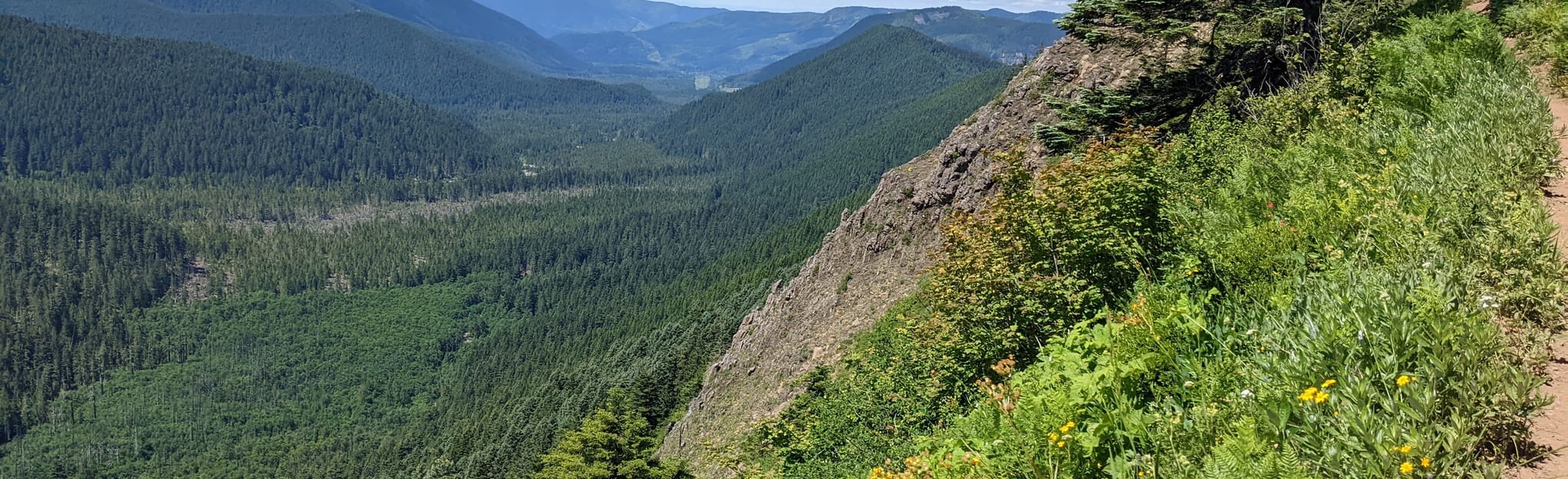 Bald Mountain and Muddy Fork, Oregon 352 Reviews, Map AllTrails