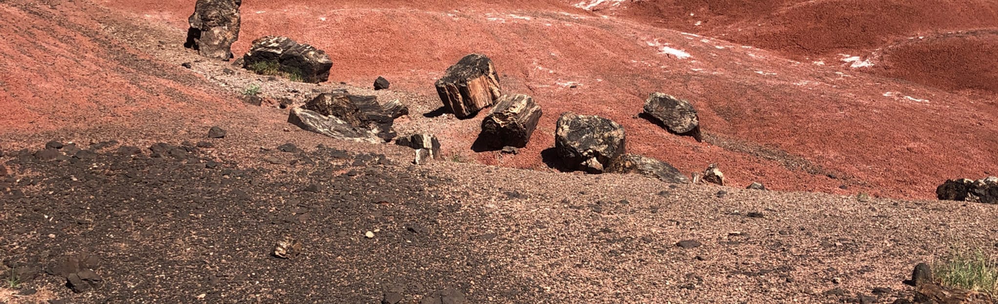 Pilot Rock Arizona AllTrails